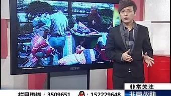 合肥电视台娱乐爆料电话,一通爆料电话引发的幕后故事